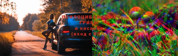 марки lsd Балахна