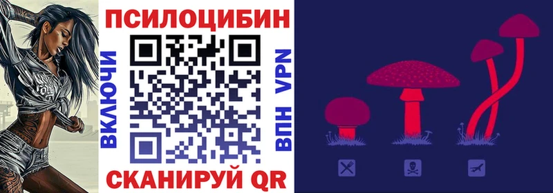 купить наркоту  Верхнеуральск  Псилоцибиновые грибы мицелий 